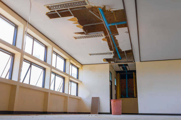 Best Flooded house restoration  in Galesburg, IL