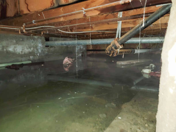 Best Ceiling water damage repair  in Galesburg, IL