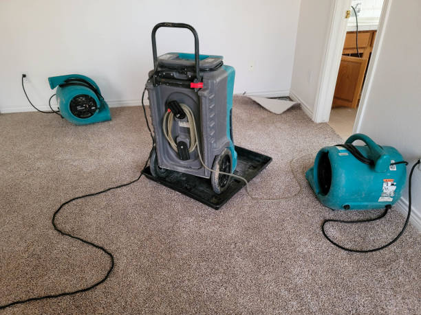 Trusted Galesburg, IL Water damage restoration Experts