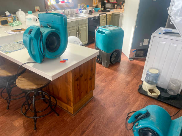 Best Water damage restoration near me  in Galesburg, IL