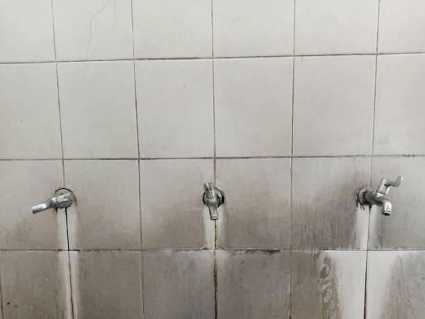 Best Professional water damage repair  in Galesburg, IL