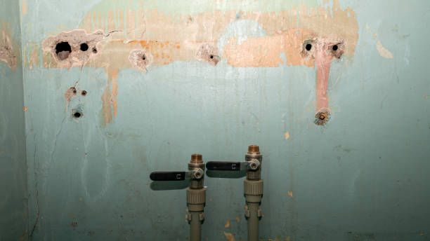 Best 24/7 water damage repair  in Galesburg, IL