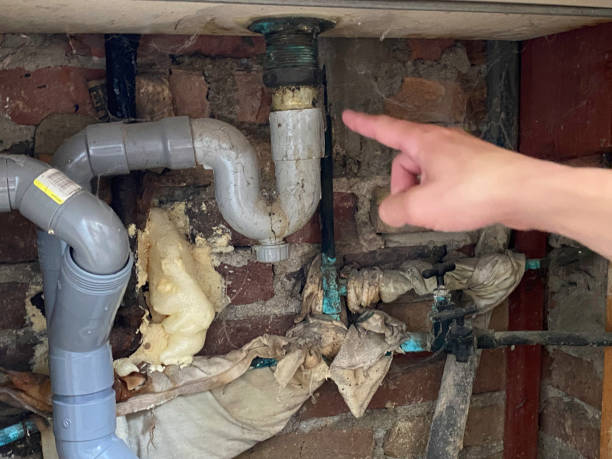 Best Water damage restoration mold remediation  in Galesburg, IL